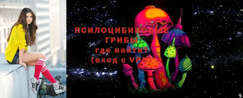 где продают наркотики  KRAKEN ССЫЛКА  Псилоцибиновые грибы Psilocybe  Егорьевск 